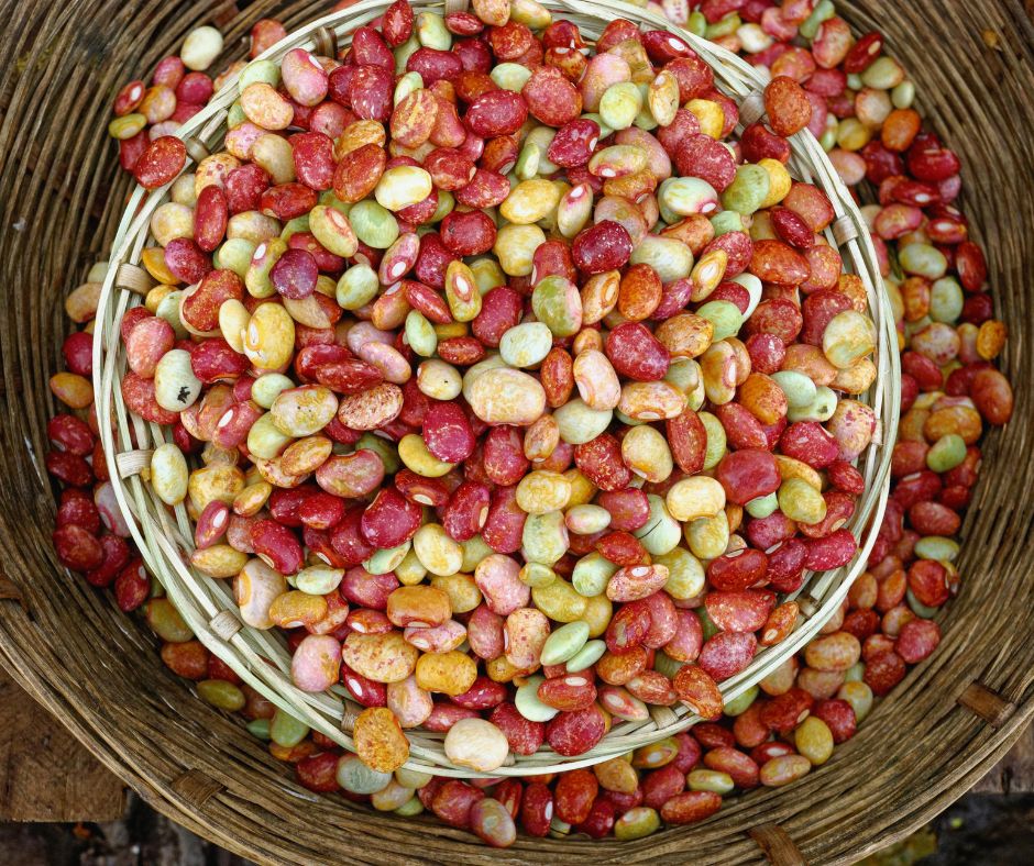 Ragin' Cajun 10 Bean Soup Mix